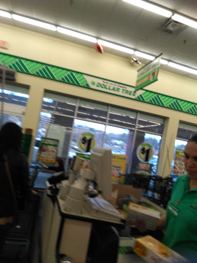Dollar Store «Dollar Tree», reviews and photos, 423 US-46, Dover, NJ 07801, USA