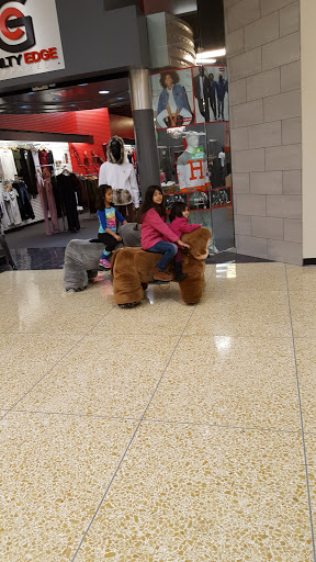 Shopping Mall «Northtown Mall», reviews and photos, 398 Northtown Dr NE, Blaine, MN 55434, USA