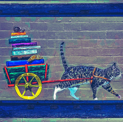 Used Book Store «Tsunami Books», reviews and photos, 2585 Willamette St, Eugene, OR 97405, USA