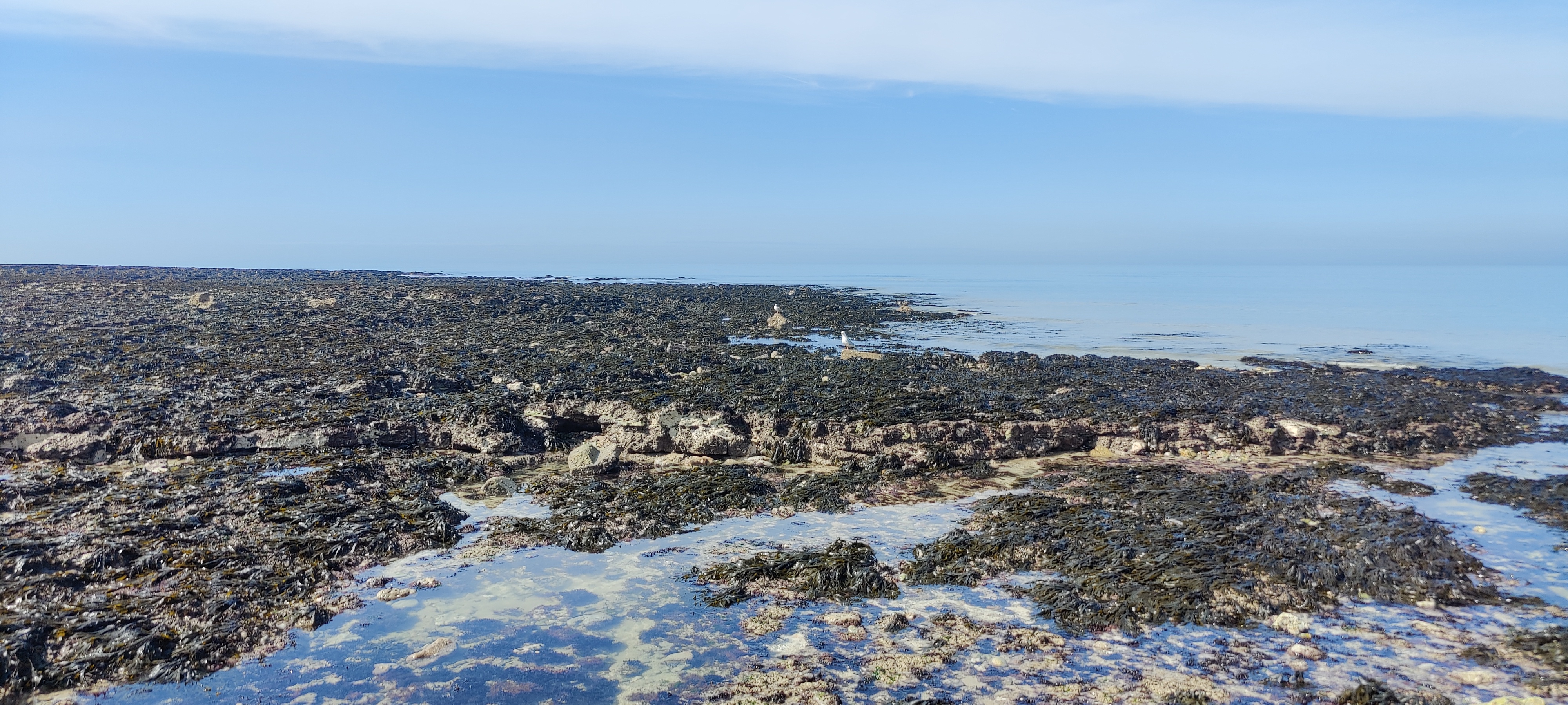Photo n° 2 de l'avis de Antoine.a fait le 13/04/2022 à 16:43