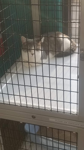 Pet Supply Store «Pet Supermarket», reviews and photos, 14044 Grant Rd Ste 200, Cypress, TX 77429, USA