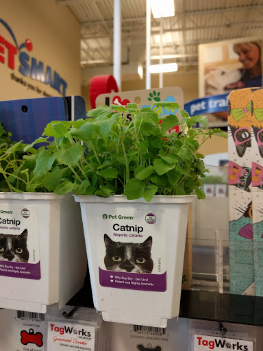 Pet Supply Store «PetSmart», reviews and photos, 1130 SE Everett Mall Way, Everett, WA 98208, USA