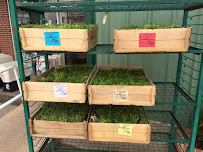 Jackson Bros Feed & Seed #2 - Photo 5 - Car repair in Abilene, TX, Abilene