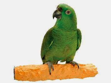 Petlane, Columbia MD