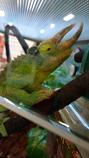 Pet Supply Store «Petco Animal Supplies», reviews and photos, 3731 Gateway Dr, Eau Claire, WI 54701, USA