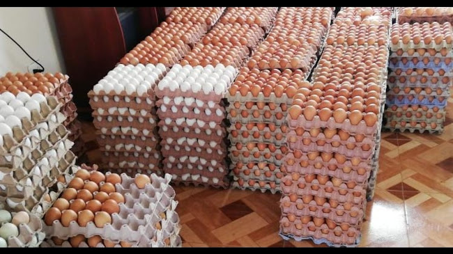 SOLMART (Distribuidora de huevos)