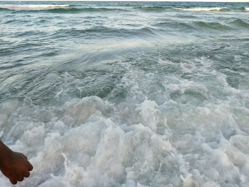 State Park «Hugh Taylor Birch State Park», reviews and photos, 3109 E Sunrise Blvd, Fort Lauderdale, FL 33304, USA