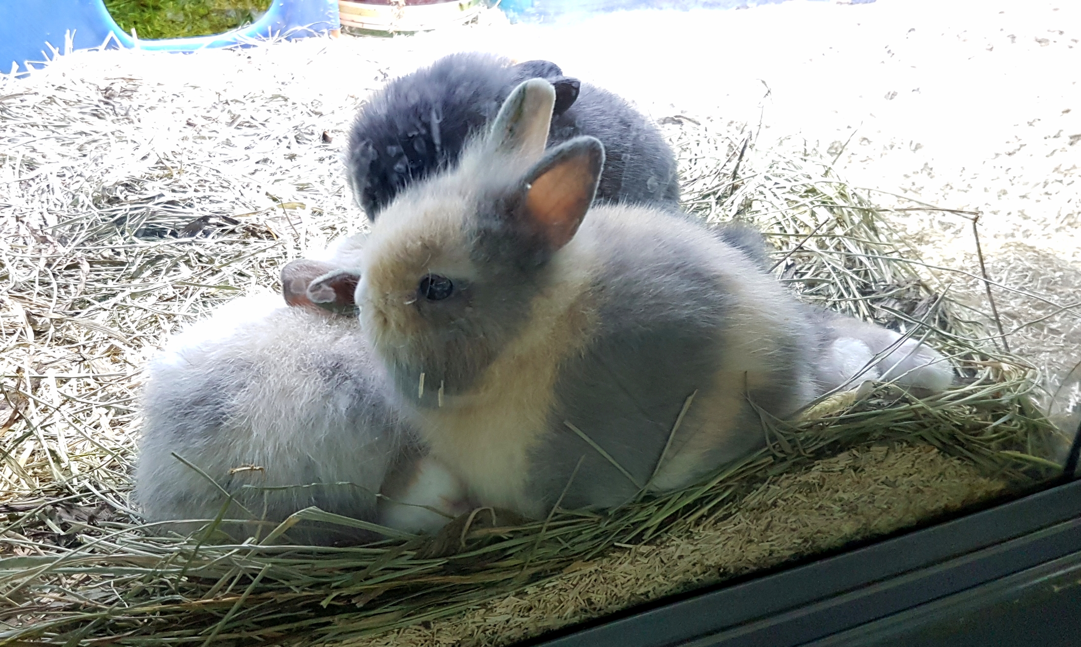 Photo n° 9 de l'avis de Ivana.r fait le 09/05/2017 à 09:04