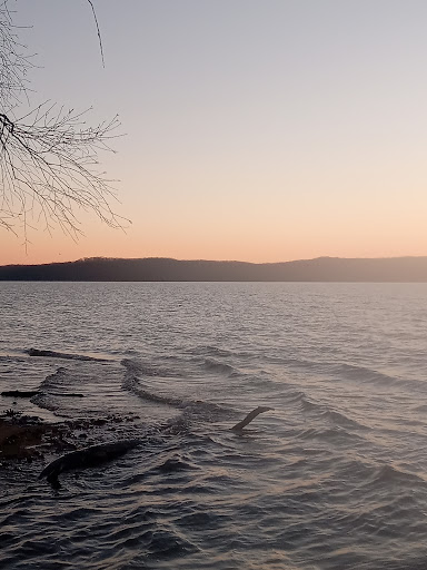 Kentucky Lake Marine