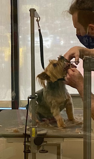 Pet Supply Store «Petco Animal Supplies», reviews and photos, 1800 E Franklin St #19, Chapel Hill, NC 27514, USA