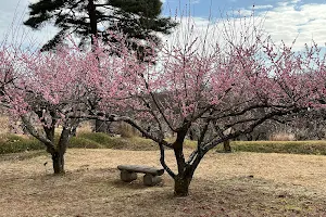 Meiyuan Forest Park (flowers and trees Gardens) image