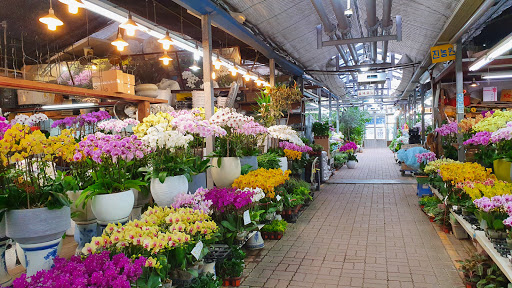 Yangjae Flower Market