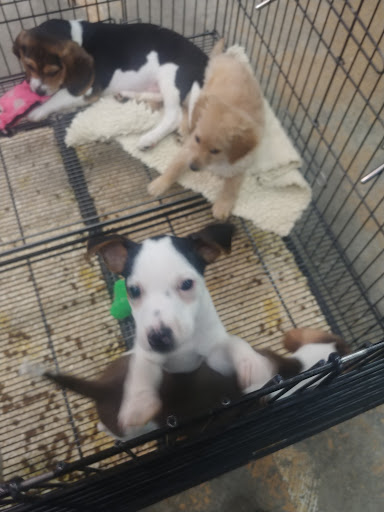 Pet Supply Store «Pet Ranch», reviews and photos, 3823 E 120th Ave, Denver, CO 80233, USA