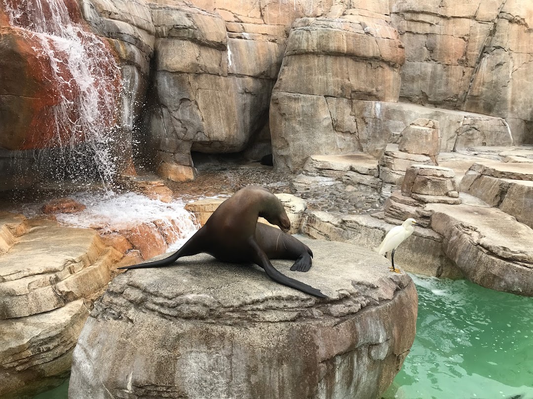 Otter Outlook