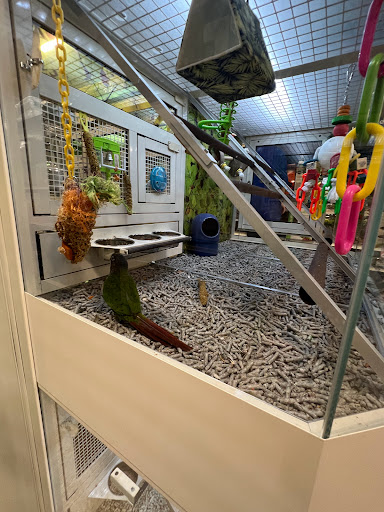 Pet Supply Store «PetSmart», reviews and photos, 1801 Howell Mill Rd NW, Atlanta, GA 30318, USA