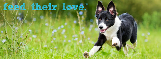 Pet Supply Store «The Naked Dog (Protein For Pets)», reviews and photos, 1230 Madera Rd, Simi Valley, CA 93065, USA