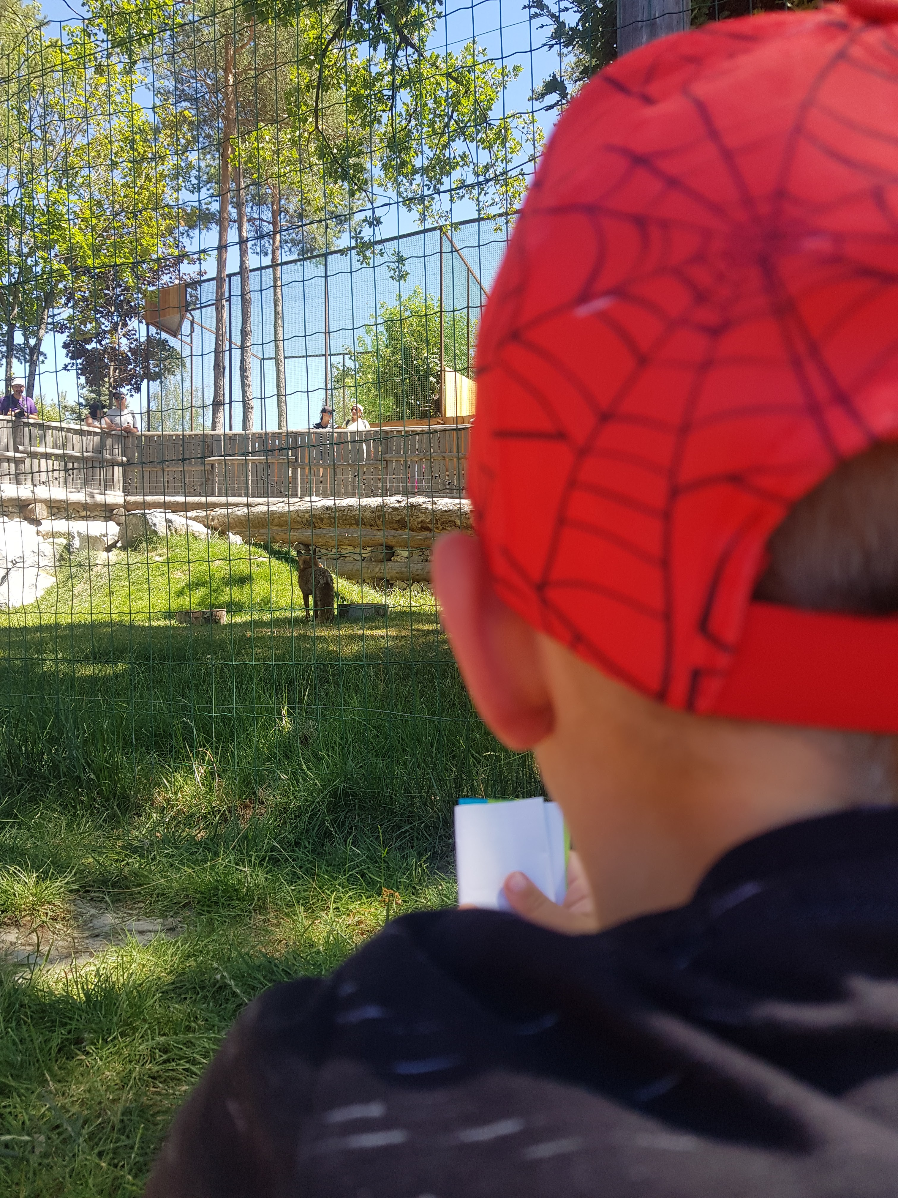 Photo n° 8 de l'avis de ROMAIN.A fait le 14/07/2022 à 16:35