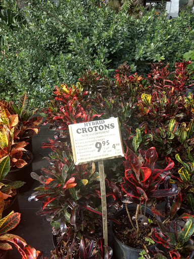 Florist «Weatherbee Nursery», reviews and photos, 701 E Weatherbee Rd, Fort Pierce, FL 34982, USA