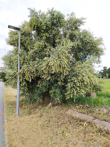 Ciclovia de Beja - Beja