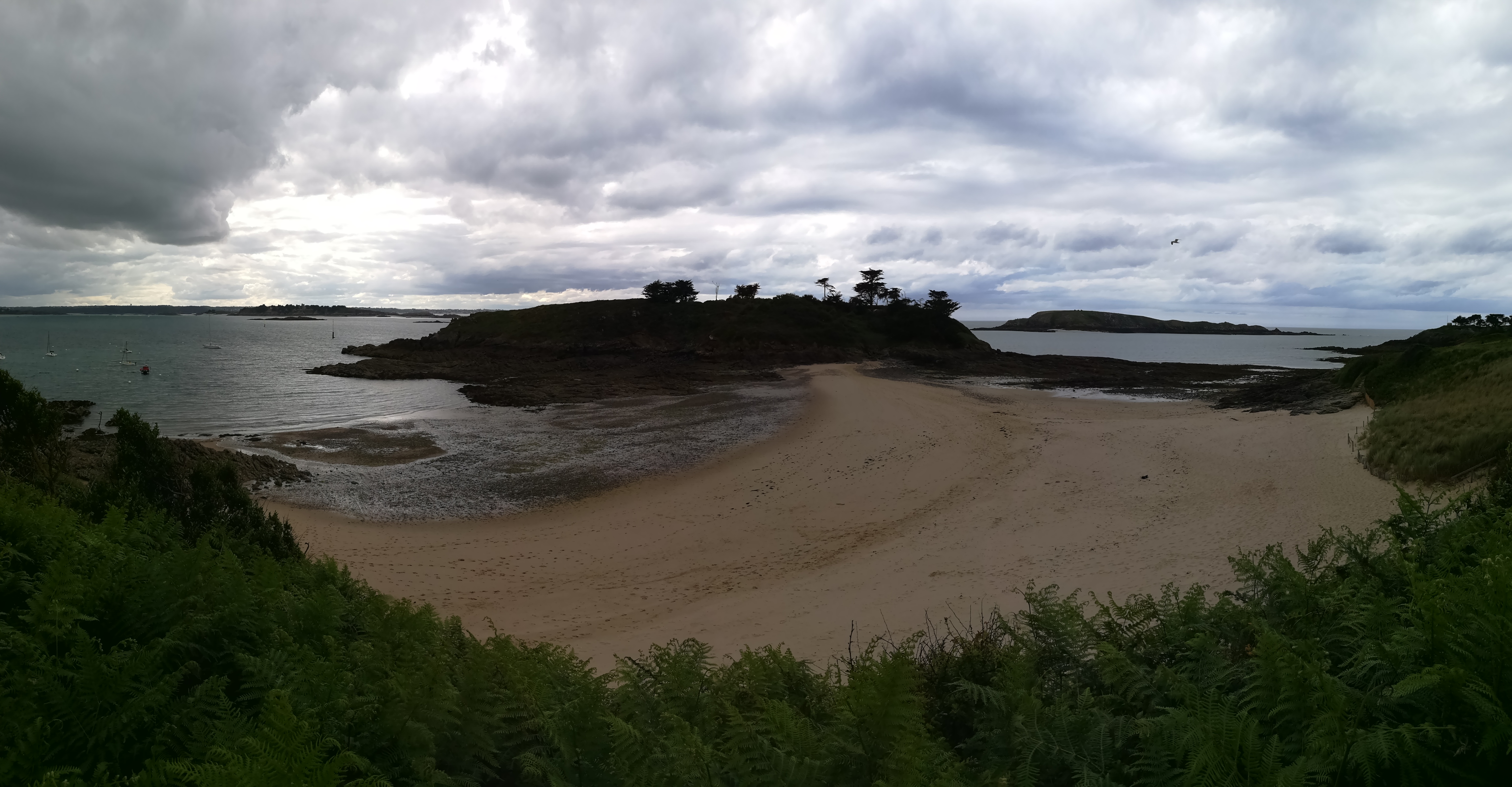 Photo n° 2 de l'avis de Mulgon.e fait le 27/06/2020 à 16:07