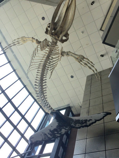 Private School «Phillips Exeter Academy», reviews and photos