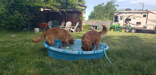 Pet Store «All About Pets LLC», reviews and photos, 52567 Columbia River Hwy, Scappoose, OR 97056, USA