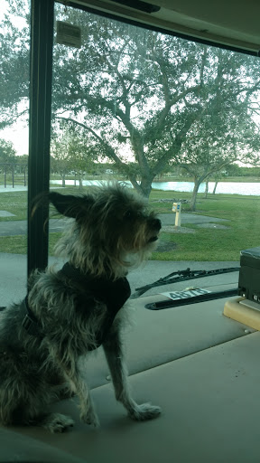 Boat Ramp «South Bay RV Park», reviews and photos, 100 Levee Rd, South Bay, FL 33493, USA