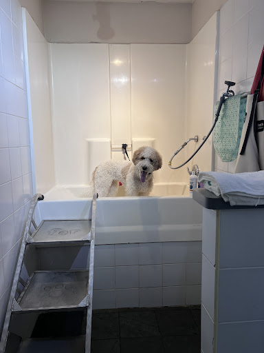 Pet Supply Store «Highland Pet Supply», reviews and photos, 1186 North Highland Avenue Northeast, Atlanta, GA 30306, USA