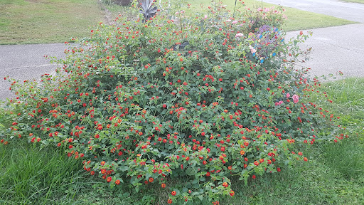 Produce Market «Parkway Produce», reviews and photos, 2601 Preston Hwy, Louisville, KY 40217, USA