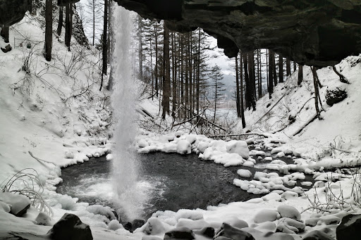 Waterfall «Horsetail Falls», reviews and photos, Historic Columbia River Hwy, Cascade Locks, OR 97014, USA