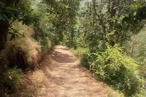 Glen Nature Trails image