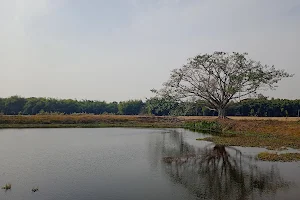 BEZBORUAH PUKHURI (POND) image