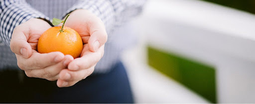 Centro Evangelistico MMM Inc Community Food Pantry Program