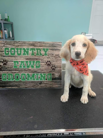 Country Paws, LLC