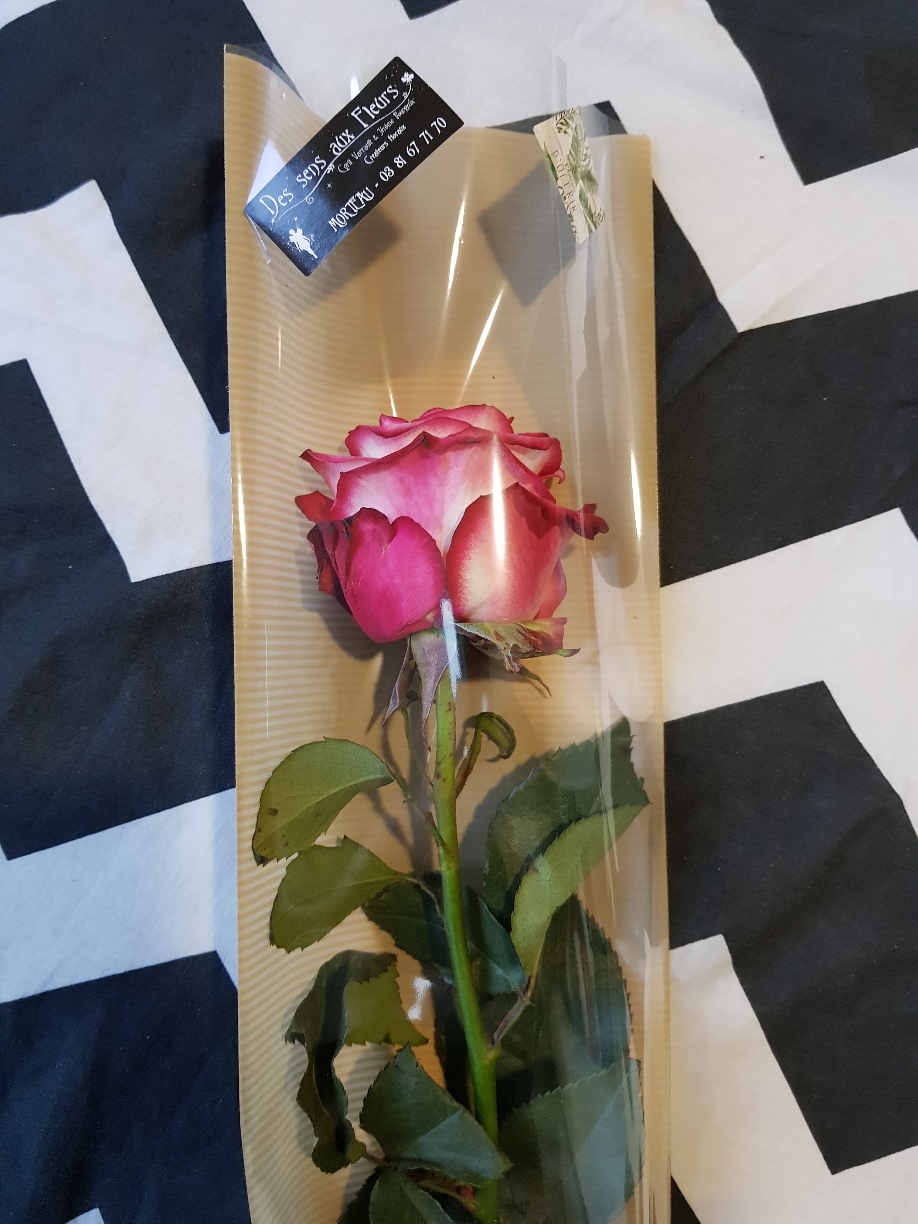 Photo n° 3 de l'avis de Faten.a fait le 30/09/2019 à 12:32