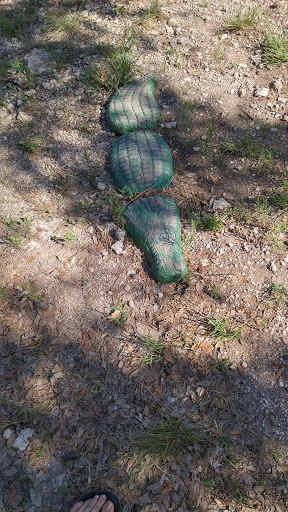 Cabin Rental Agency «Paluxy River Bed Cabins», reviews and photos, 1319 FM 205, Glen Rose, TX 76043, USA