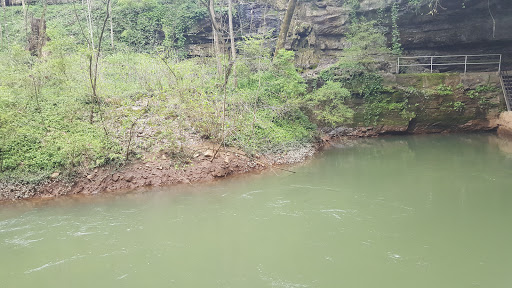 Non-Profit Organization «Lost River Cave», reviews and photos, 2818 Nashville Rd, Bowling Green, KY 42101, USA