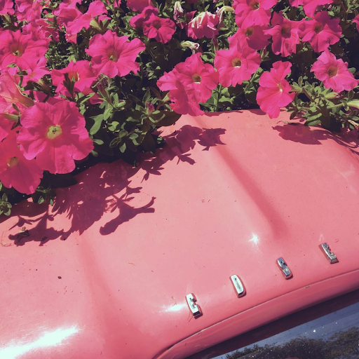 Technical School «Ohio Technical College», reviews and photos