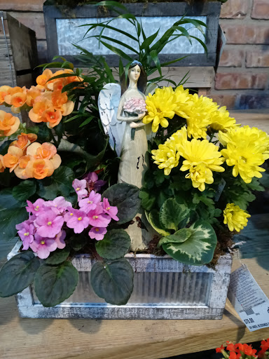 Florist «Viviano Flower Shop», reviews and photos, 32050 Harper Ave, St Clair Shores, MI 48082, USA