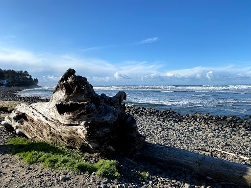 Grocery Store «Safeway», reviews and photos, 401 S. Roosevelt, Seaside, OR 97138, USA