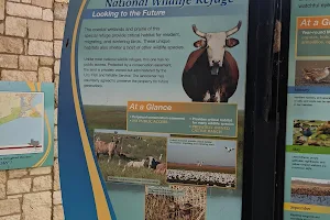 Anahuac National Wildlife Refuge Visitor Center image