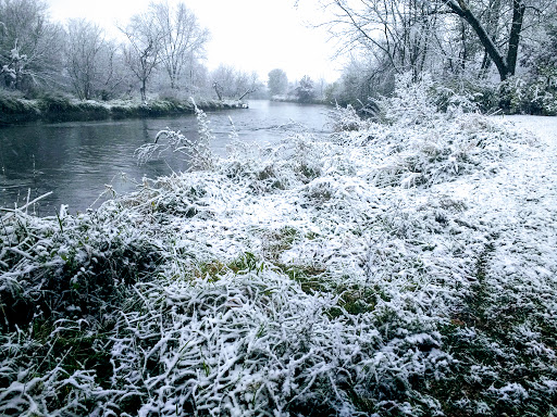 Park «Mather Woods Forest Preserve», reviews and photos, 25032 W Renwick Rd, Plainfield, IL 60544, USA