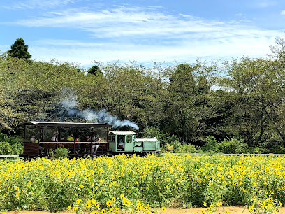 トロッコ列車