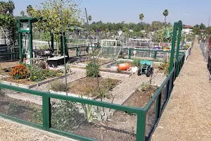 Long Beach Community Garden image