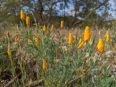 Sorrento Valley