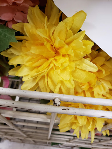 Craft Store «Michaels», reviews and photos, 10352 E US Hwy 36, Avon, IN 46123, USA