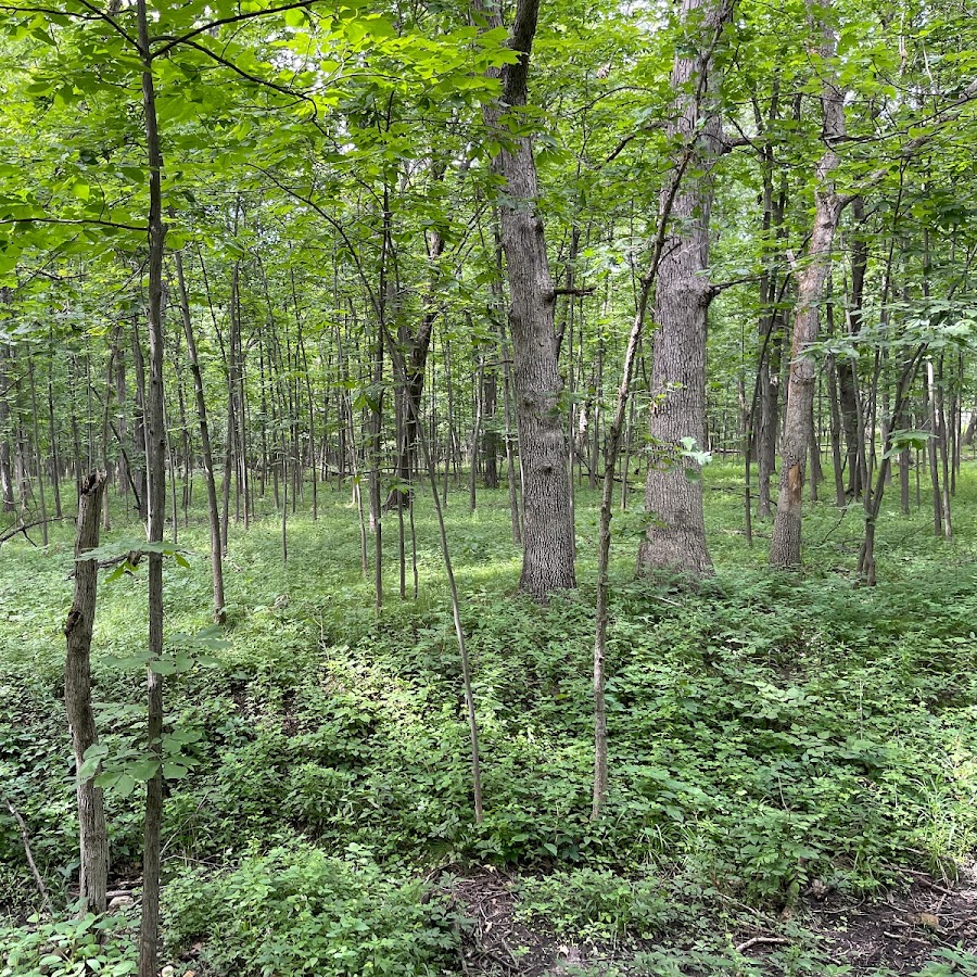 Hobart Prairie Grove