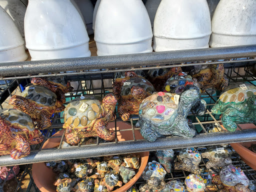 Florist «Plant Safari», reviews and photos, 653 N Central Ave, Upland, CA 91786, USA