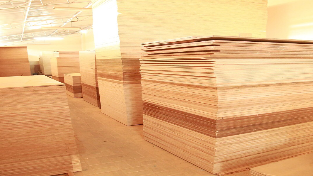 D.K DOORS - Best Plywood Shop In Rewari - Timber Dealer In Rewari
