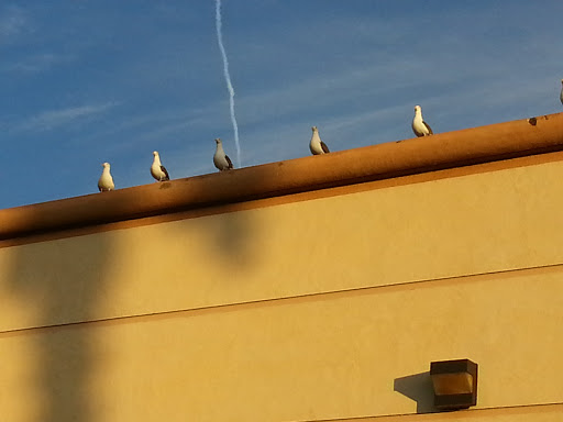 Office Supply Store «Office Depot», reviews and photos, 19100 Harborgate Way, Torrance, CA 90501, USA